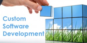 custom_software_development