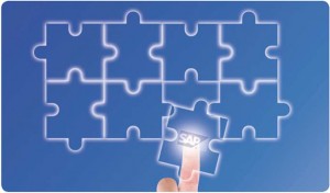 sap-er-implementation